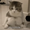 Overthink