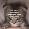 Gatinhos 11