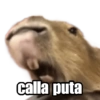 Capybara 2 8