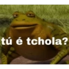 tú é tchola?
