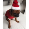 🌲 Mood Navidad 2.0🌲 5