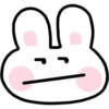 Simple Bunny 🐰🤍✨ 14