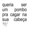 queria ser um pombo pra cagar na cabeça sua