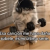 Esa canción me hace daño súbele, es mi última serie.