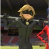 Cat noir 28