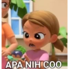 APA NIH COO