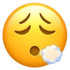 EMOJI IPHONE 😎 15