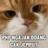 Tahun Baru versi Kucing 7