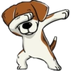 Dog salute 12