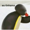 PINGUZINHO 12