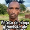 @rose.stickersi Vistete de abeja g zumbate alv