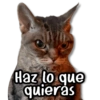 Reacciones TÓXICAS ⚠️☣️ 5