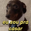 eu sou pra casar