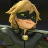 Cat noir 26