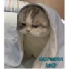 depresyon kedy