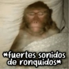 *fuertes sonidos de ronquidos*