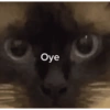 Memes random 3 9