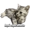 MASCOTA PT. 1 19