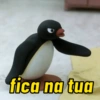Memes do pingu 🐧🐧🐧 13