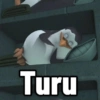 Turu