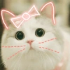 🐾Gatitos Cute🐈💖 19