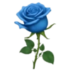 Emoji iPhone Blue 17