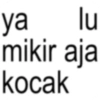 ya lu mikir aja kocak