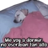 Me voy a dormir no escriban tan alto