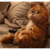 Miau 13