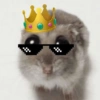 🐀 Sad Rat 🐀🐀 Meme 🐀 11