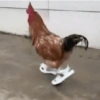 Vale a pena baixar esse 🪶🐓 10