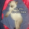 slc vou de dormes Omacintosh1984