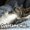 Cuéntame más... carols.zdio