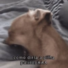 como diria a pilha palito: AAA