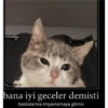 Günaydın-iyi geceler 7