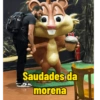 Minhas figurinhas 28