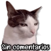 Reacciones TÓXICAS ⚠️☣️ 8