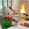 Hello kitty working 24