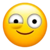 EMOJI IPHONE 😎 17