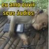 Macaquinhos memes 🤣🙈 12