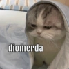 AhahahhahNO 20