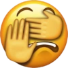 Emojis 14
