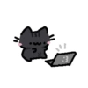 Cat 15