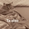 Memes para el frio 🥶❄️☃️ 16