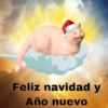 Ramdom Año nuevo  12