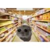 Hamster desesperado 9