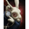 Rabbit Checking Time