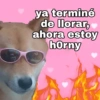 ya terminé de llorar, ahora estoy horny