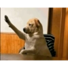 Memes random 3 13