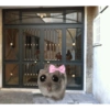 Hamster desesperado 24